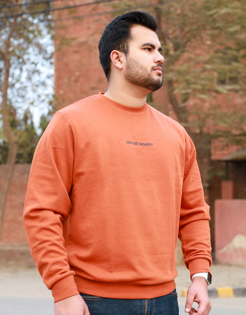 Men's Fashion Brown Sweatshirt
