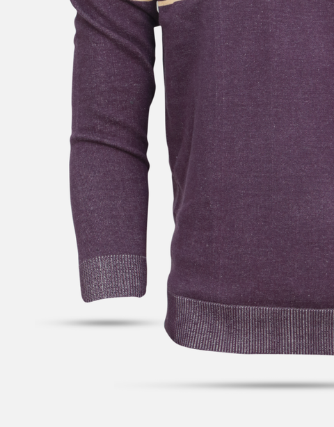 Men's Purple & Beige Stripes Round Neck Sweater