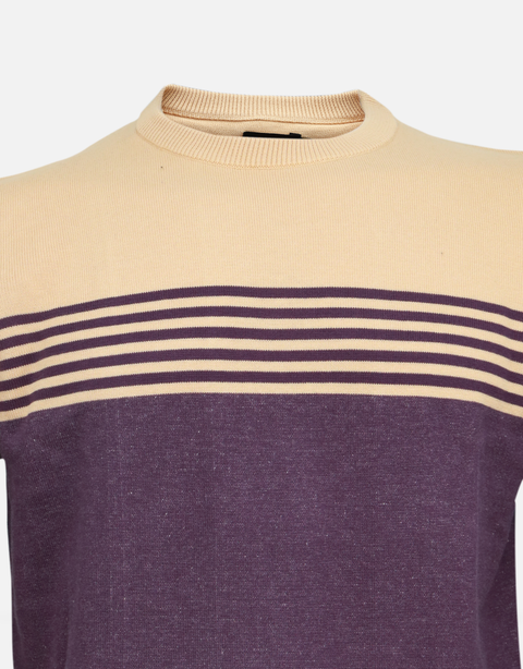 Men's Purple & Beige Stripes Round Neck Sweater